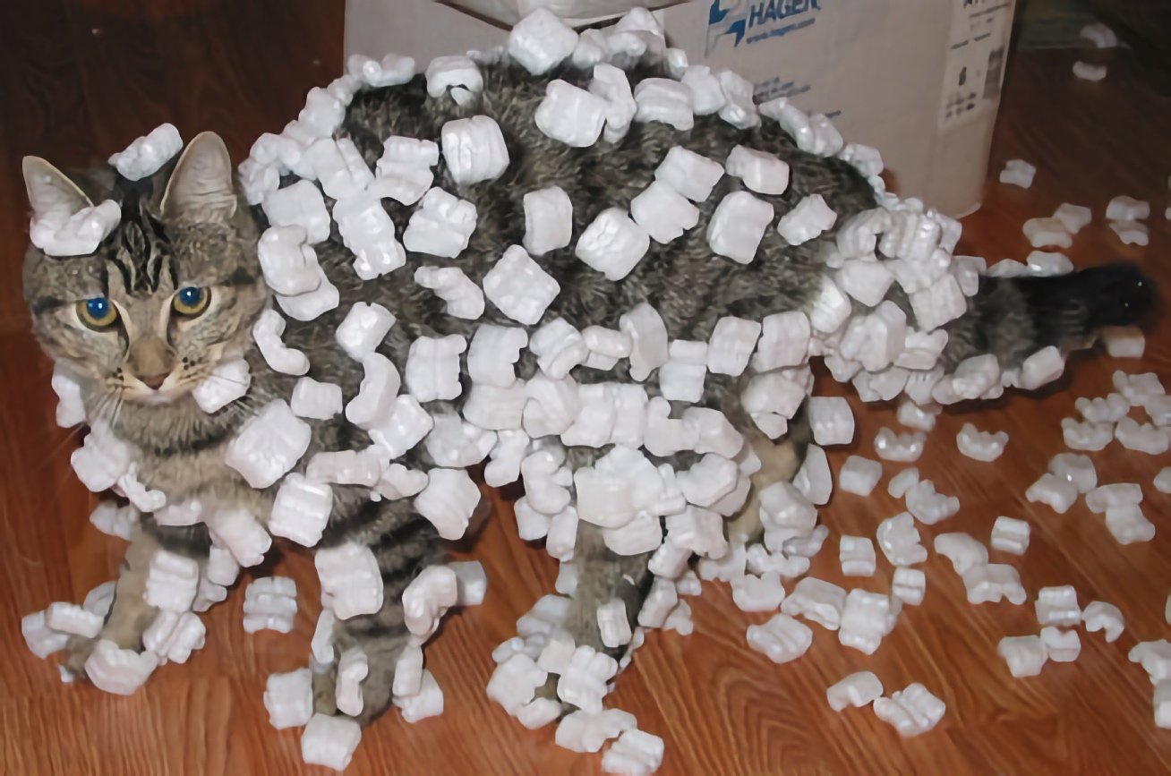 Katze mit Verpackungsflips garniert